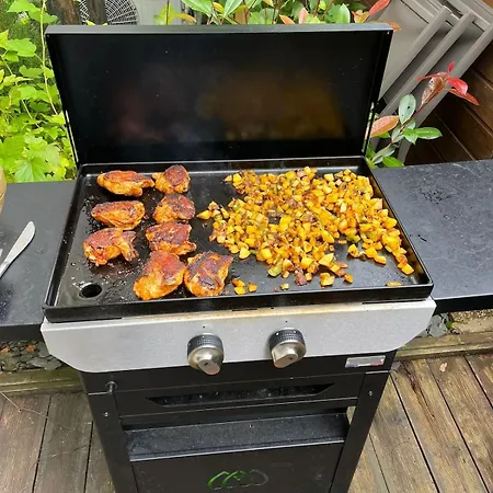 La Parenthese Plein Centre Au Calme A 300 M Du Appartement Gérardmer
