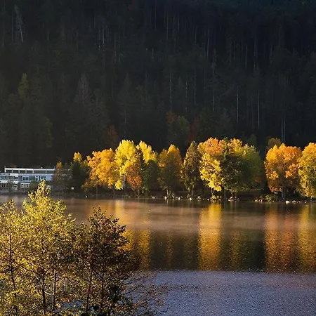 Appartement La Parenthese Plein Centre Au Calme A 300 M Du
