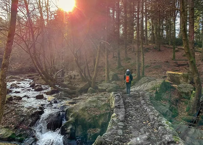 La Parenthese Plein Centre Au Calme A 300 M Du Apartmán Gérardmer
